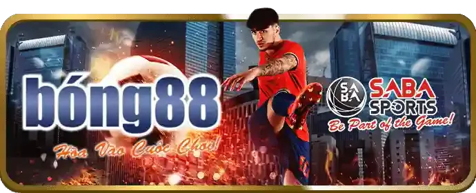 Bảng tỷ lệ cược với các loại kèo khác nhau